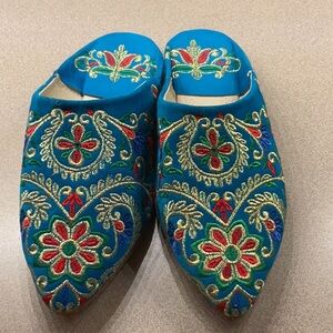 Embroidered Blue Women's Shoes